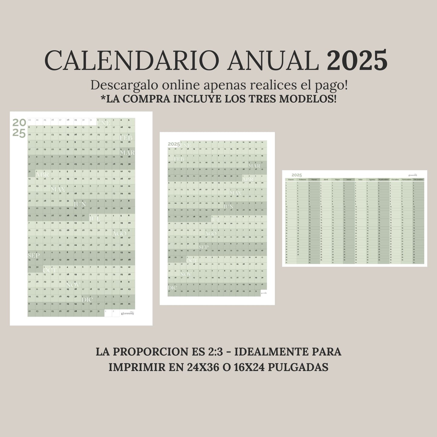 Calendario Anual 2025