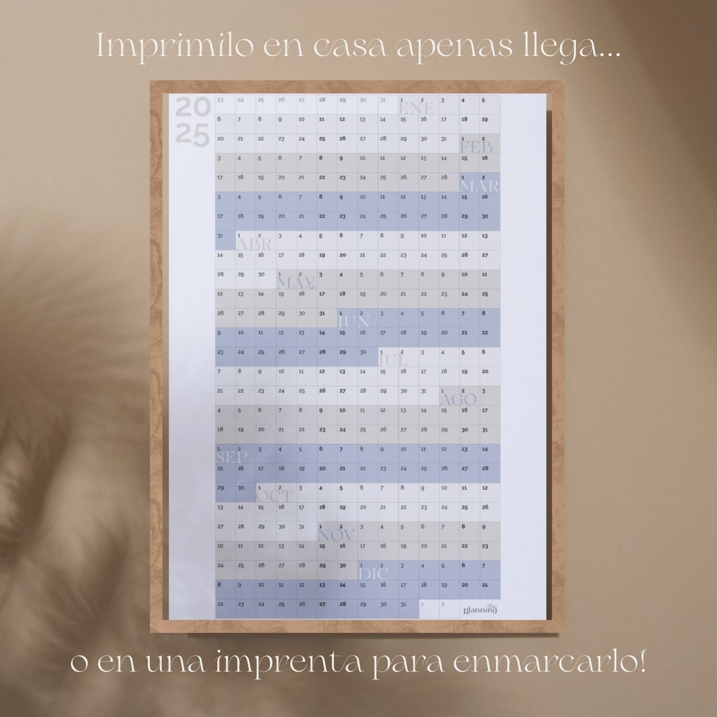 Calendario Anual 2025