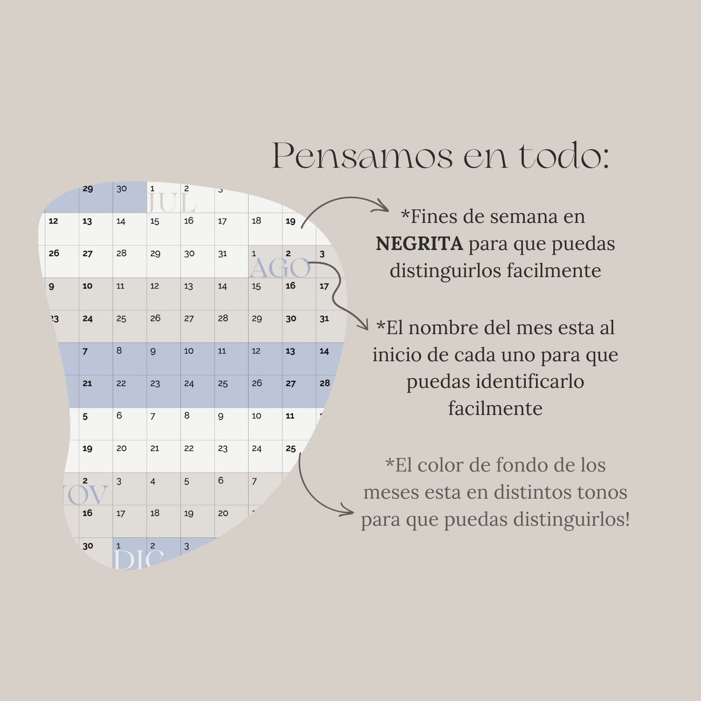 Calendario Anual 2025