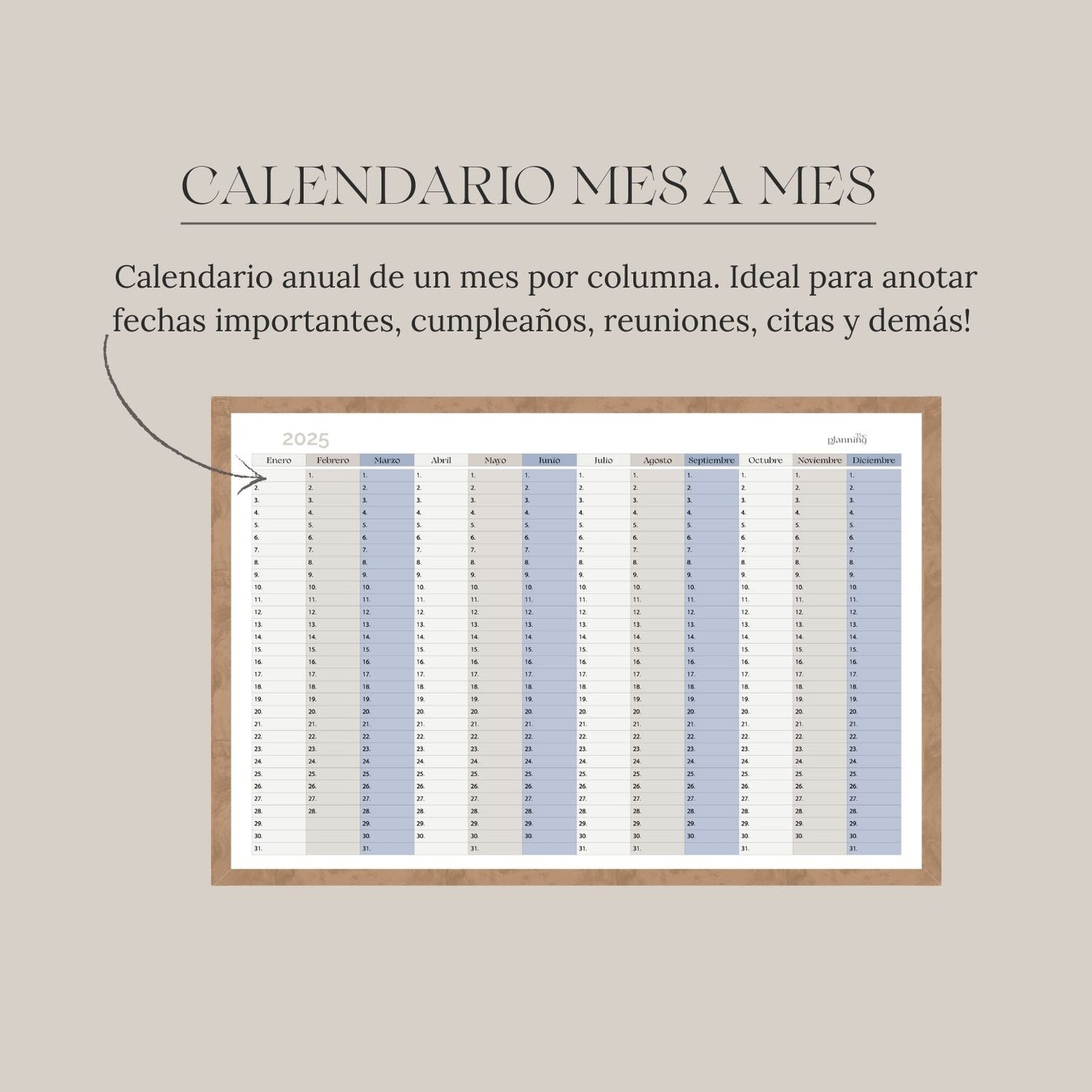 Calendario Anual 2025