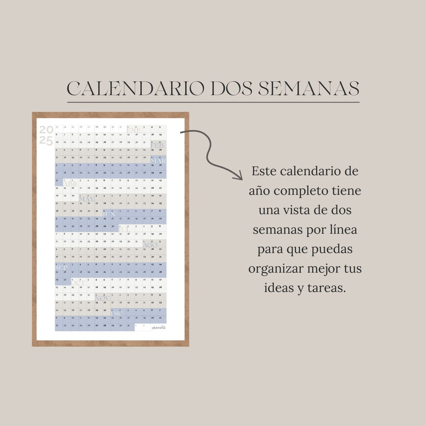 Calendario Anual 2025