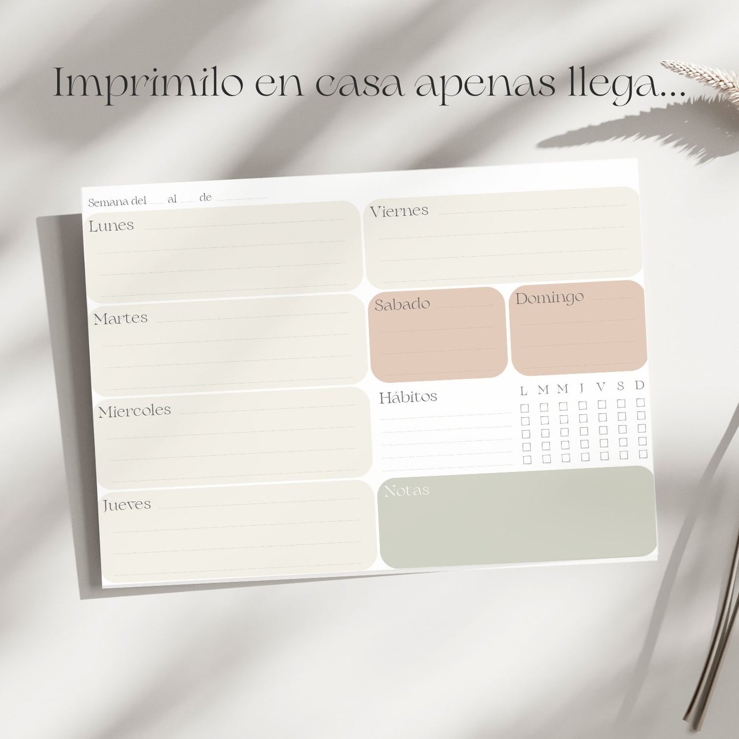 Planner Semanal